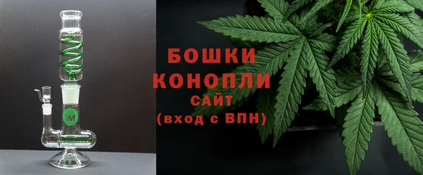 гидра Гусь-Хрустальный