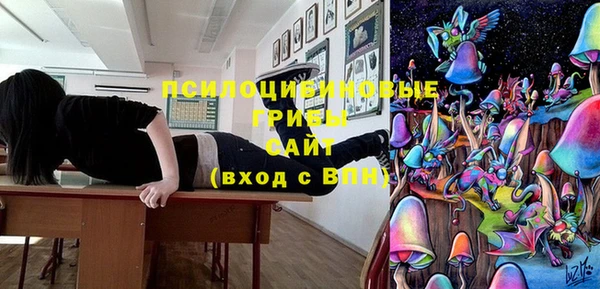 a pvp Гусев
