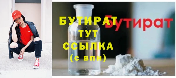 гидра Гусь-Хрустальный