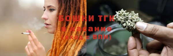 гидра Гусь-Хрустальный
