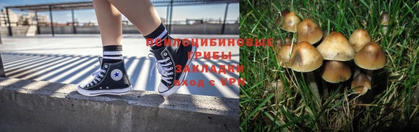 a pvp Гусев