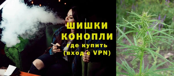 гидра Гусь-Хрустальный