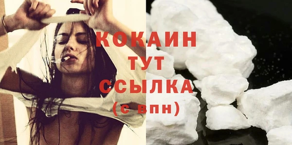 гидра Гусь-Хрустальный